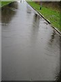 Puddles on the paths in St Nicholas Park