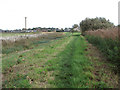 Track north of the River Thurne