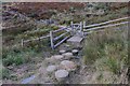 South West Coast Path near Rusey Beach