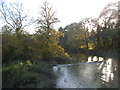 The River Mole at Cobham