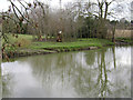SP2965 : Floodmeadow, River Avon by Emscote Gardens, Warwick 2014, March 10, 15:27 by Robin Stott