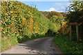 West Somerset : Farm Track