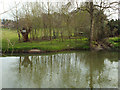 SP2965 : Floodmeadow, River Avon by Emscote Gardens, Warwick 2014, March 30, 12:12 by Robin Stott