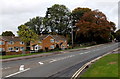 Houses and trees, Broughton Road, Banbury