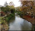 Bulstake Stream, Oxford