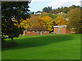 Autumn colours, Shalford Park