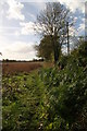 Footpath alongside the railway from Fiskerton Station to Morton