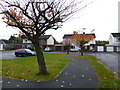 A bare tree, Orangefield Park, Omagh