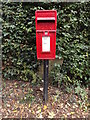TM0960 : Blacksmiths Lane Postbox by Geographer