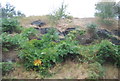 Sandstone outcrop by the Huddersfield Line