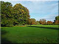 Autumn colour, Laleham Park