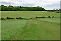 Bridleway towards the A280