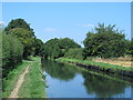 The New River at Bury Green (2)