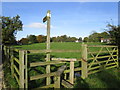 Footpath to York Road