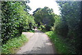 Lane near South Hill Farm