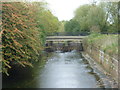 River Brent at Stonebridge Park