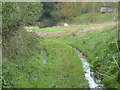 Damp bridleway