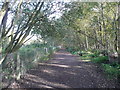 National Cycle Network Route 66 east of Mytholmroyd Station