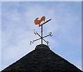 NH5645 : Weather vane, on Newton House doocot by Craig Wallace