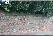 TQ5446 : Boundary wall to Hall Place by N Chadwick