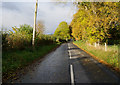 Road leading to Strathtay