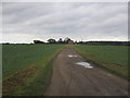 Track to Cliffe Dales Farm