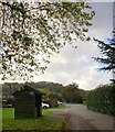 Blackheath Lane, Wonersh, in October