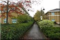 Footpath to Barns Road