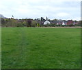 Grassy area at Franklyn Fields