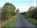 Country road near Williamrig