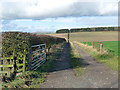 Farm road at Longnewton