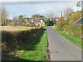 Cottages at Longnewton