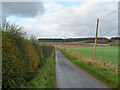 Country road near Ancrum Craig