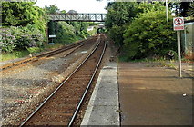 SX9063 : Railway north of Torquay railway station by Jaggery