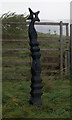 NN8148 : National cycle route marker post at Dull by Ian S