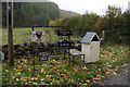 Eggs for sale at Dalchosnie Farm