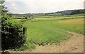 Farmland below Elcombe Down