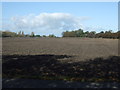 Field north of Jacksmere Lane, Scarisbrick