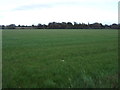 Farmland near Ormskirk