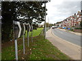 Bend in Road signs