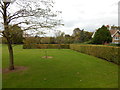 Hedges at Gippeswyk Park