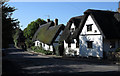 Thatched cottages in Linton