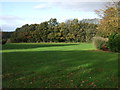 Park and woodland north of Greetby Hill