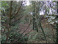 Disused railway cutting off Dark Lane