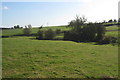 Stream flowing through pasture