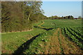 Bridleway into Bury End