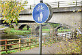 J3269 : Shared footpath and cycle path sign, Shaw's Bridge, Belfast (October 2014) by Albert Bridge