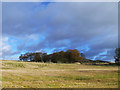 Stubble field near Largo Home Farm