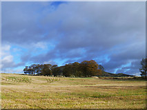 NO4103 : Stubble field near Largo Home Farm by John Allan