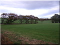 Farmland, Wrightington